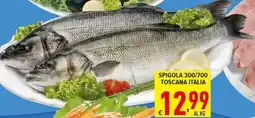 Iper Triscount Spigola 300/700 Toscana Italia offerta