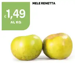 Ekom Mele Renetta offerta