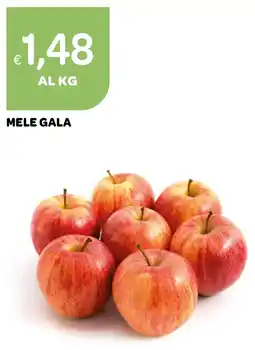 Ekom Mele Gala offerta