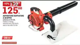Brico OK Aspiratore/soffiatore a scoppio Green Power offerta