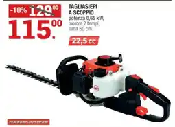 Brico OK Tagliasiepi a scoppio Green Power offerta