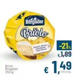 Aldel Discount Briolo Bergader offerta