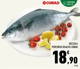 Conad Tuday Ricciola Percorso Qualità Conad offerta