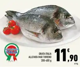 Conad Tuday Orata Italia offerta