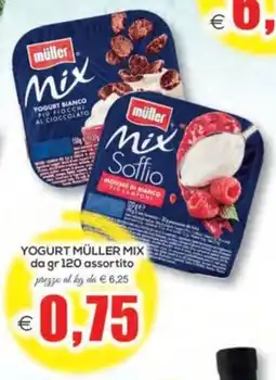 SuperOne Yogurt Müller Mix offerta