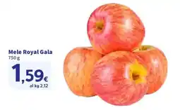 Ok Sigma Mele Royal Gala offerta
