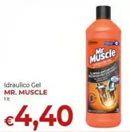 Maxi Nonna Isa Idraulico Gel Mr. Muscle offerta