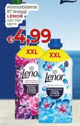 Maxi Nonna Isa Ammorbidente Lenor offerta
