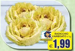 SuperOne Radicchio variegato offerta
