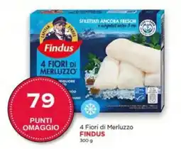 Maxi Nonna Isa 4 Fiori di Merluzzo Findus offerta