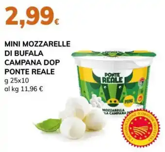 Mini mozzarelle di bufala campana dop ponte reale