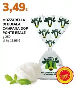 Basko Mozzarella di bufala campana dop ponte reale offerta