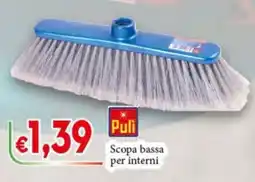 D'Italy Scopa bassa Puli per interni offerta