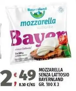 Vivo Supermercati Mozzarella senza lattosio Bayernland offerta