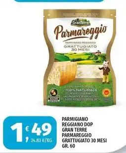 Vivo Supermercati Parmigiano Reggiano DOP Gran Terre Parmareggio offerta