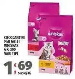 Vivo Supermercati Crocchettini per gatti Whiskas Junior offerta