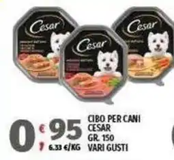 Vivo Supermercati Cibo per cani Cesar offerta