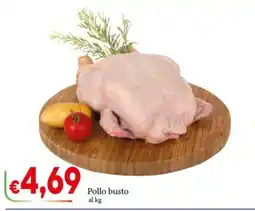 D'Italy Pollo busto offerta