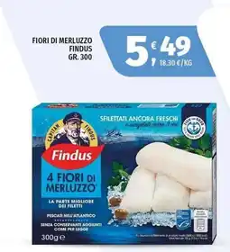 Vivo Supermercati Fiori di merluzzo Findus offerta