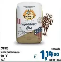 Del Prete Distribuzioni Caputo farina manitoba oro tipo "o" offerta