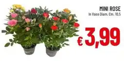 IperFamila Mini Rose offerta