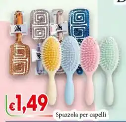 D'Italy Spazzola per capelli offerta