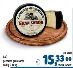 Del Prete Distribuzioni CAO pecorino gran sardo offerta
