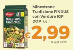 Tocal Minestrone Tradizione Findus offerta