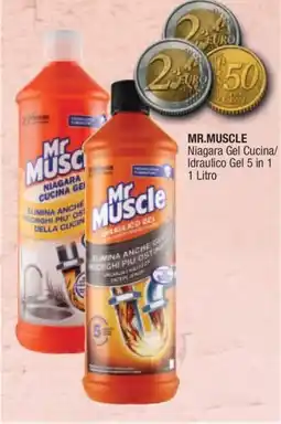 Sidis Mr Muscle Niagara Gel Cucina/Idraulico Gel offerta