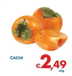 MD Discount Cachi offerta