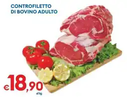 MD Discount Controfiletto di bovino adulto offerta
