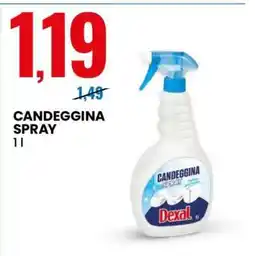 Eurospin CANDEGGINA SPRAY offerta