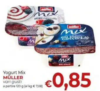 Yogurt Mix Müller