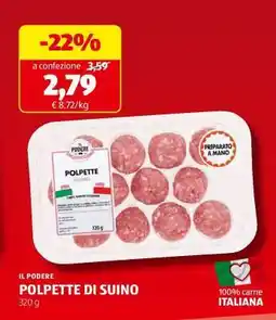 ALDI Polpette di suino offerta