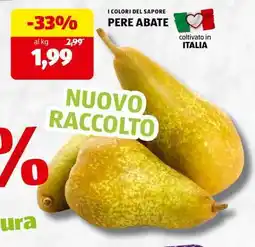ALDI Pere Abate offerta
