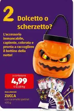 ALDI ZUCCA offerta