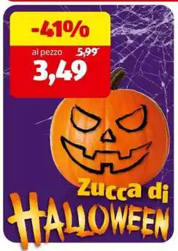 ALDI Zucca di Halloween offerta