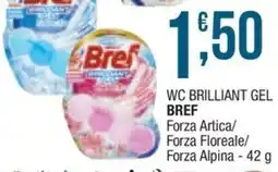 Sidis WC Brilliant Gel Bref offerta