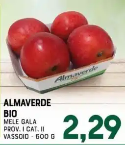 Gran Risparmio Mele Gala Almaverde Bio offerta