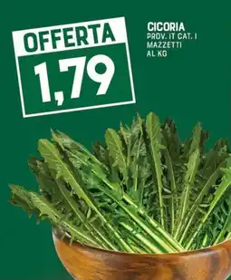 Gran Risparmio Cicoria offerta