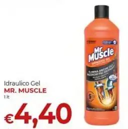 Supermercati Nonna Isa Idraulico Gel Mr. Muscle offerta
