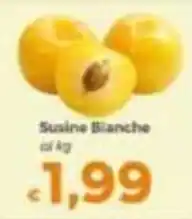 Tocal Susine Bianche offerta