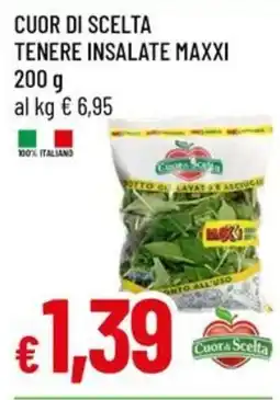 Galassia Insalate Maxxi Cuor di Scelta offerta