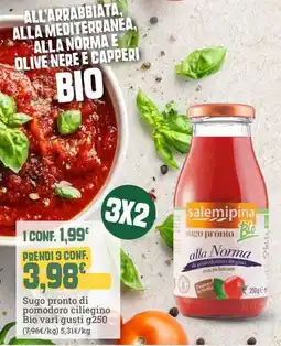 Banco Fresco Salemipina Bio sugo pronto alla Norma offerta