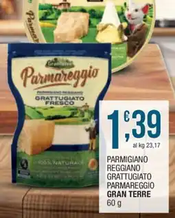 Sidis Parmareggio Parmigiano Reggiano Grattugiato Fresco offerta