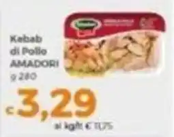 Tocal Kebab di Pollo Amadori offerta