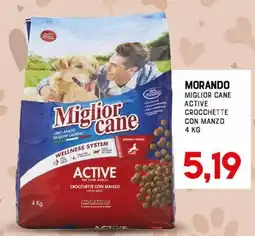 Gran Risparmio Miglior cane Active offerta