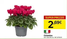 Leroy Merlin Ciclamino offerta