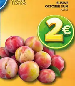 Coal Susine october sun offerta