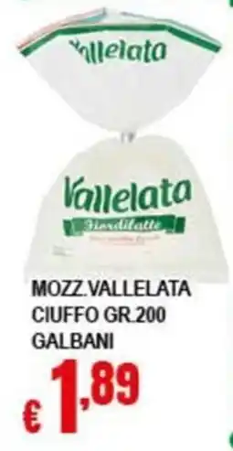 Risparmio Supermercati Mozzarelle Vallelata offerta